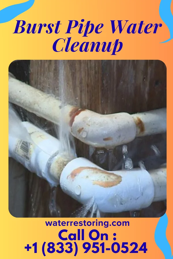 Burst Pipe Water Cleanup in Nisland, SD
