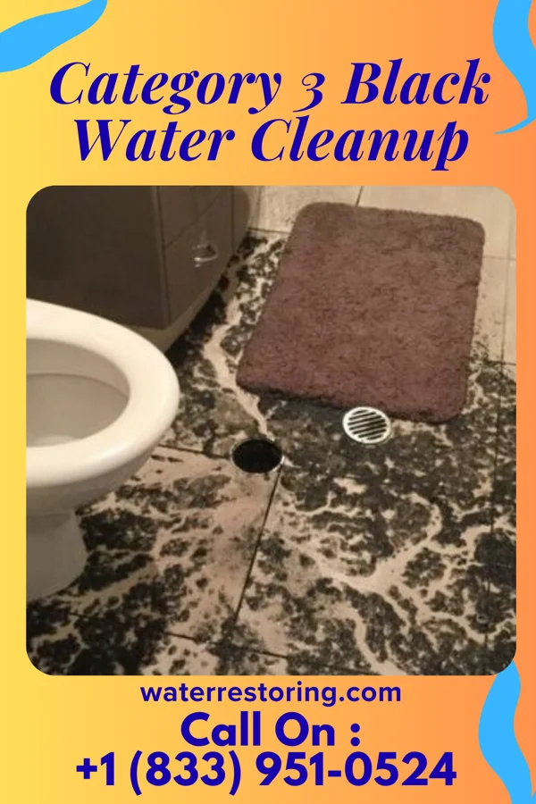 Category 3 Black Water Cleanup in Nisland, SD