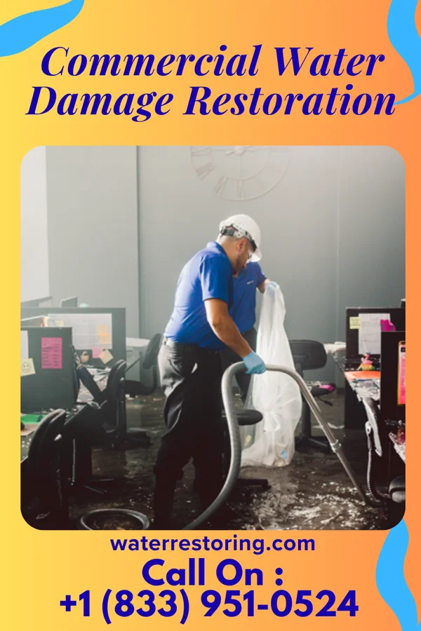 Commercial Water Damage Restoration in Nisland, SD