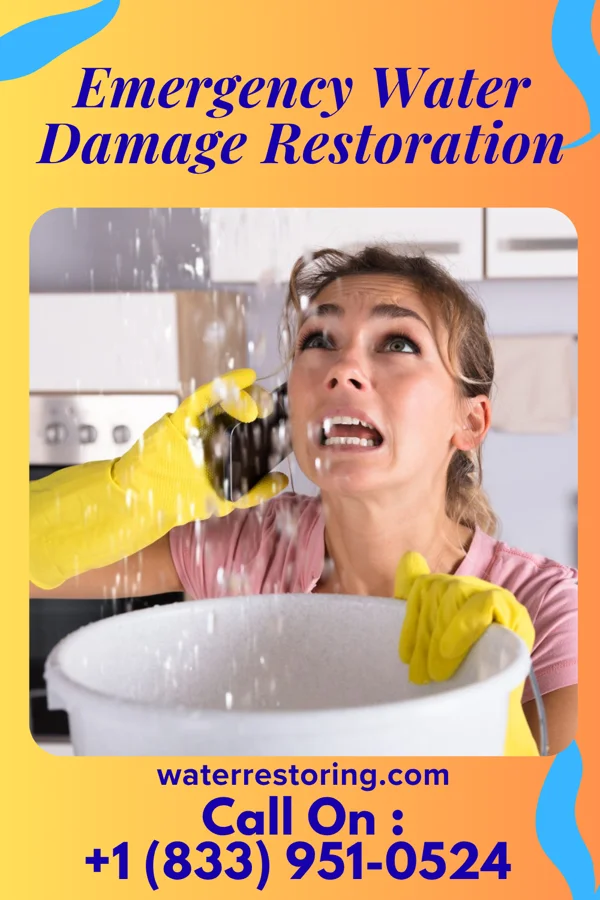 Emergency Water Damage Restoration in Nisland, SD