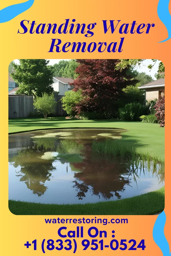 Standing Water Removal in Nisland, SD